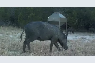 2555 County Road 1139, Lampasas, TX 76550 - Photo 37