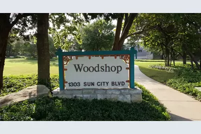 167 Whispering Wind Drive, Georgetown, TX 78633 - Photo 29