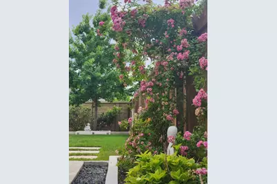 4500 Brandon Court, Round Rock, TX 78681 - Photo 25