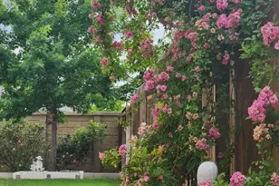 4500 Brandon Ct, Round Rock, TX 78681 - Photo 25