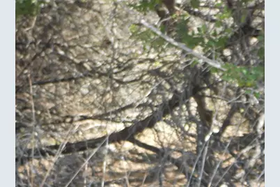 21000 High Drive, Lago Vista, TX 78645 - Photo 7