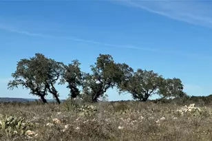 Lot 57 Big Creek Drive, Kingsland, TX 78639 - Photo 15