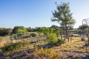 3270 Fm 671, Luling, TX 78648 - Photo 19