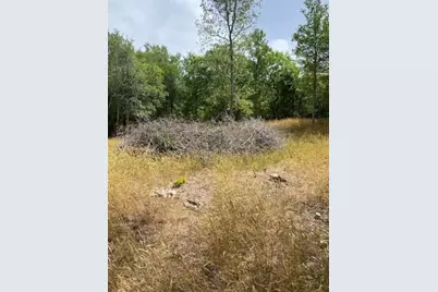 108 W Kikipua Lane, Bastrop, TX 78602 - Photo 3