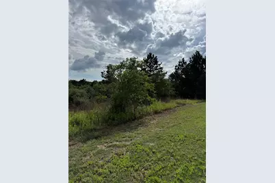 Lots 89-90 Pintail Lane, Bastrop, TX 78602 - Photo 5