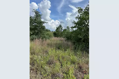 Lots 89-90 Pintail Lane, Bastrop, TX 78602 - Photo 1