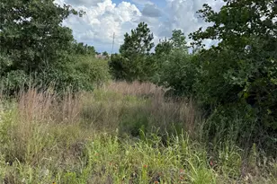 Lots 89-90 Pintail Ln, Bastrop, TX 78602 - Photo 1