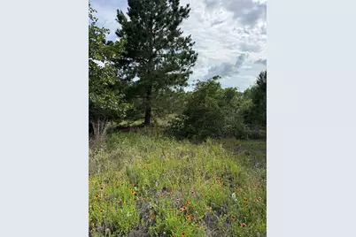 Lots 89-90 Pintail Lane, Bastrop, TX 78602 - Photo 3