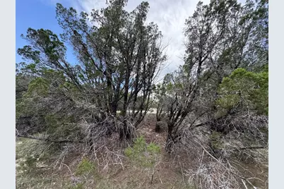 20800 Cedar Ridge Cove, Lago Vista, TX 78645 - Photo 7