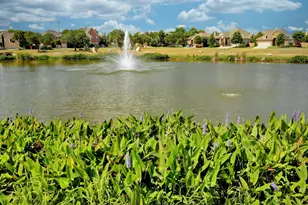 3500 Bachelor Gulch, Leander, TX 78641 - Photo 35