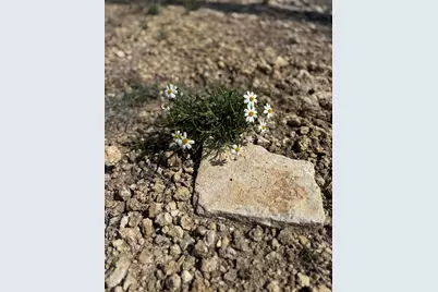 Tbd Lot 109 Pitchfork Ranch Road, Copperas Cove, TX 76522 - Photo 7