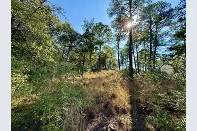 109 and 115 Olomana Court, Bastrop, TX 78602 - Photo 9