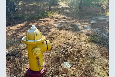 109 and 115 Olomana Court, Bastrop, TX 78602 - Photo 5