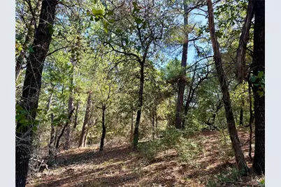 109 and 115 Olomana Court, Bastrop, TX 78602 - Photo 13