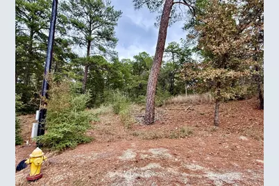 109 and 115 Olomana Court, Bastrop, TX 78602 - Photo 3