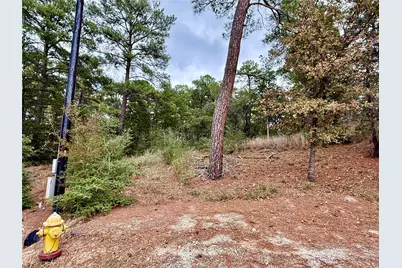 109 and 115 Olomana Court, Bastrop, TX 78602 - Photo 3