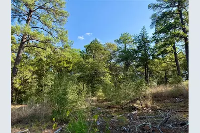 109 and 115 Olomana Court, Bastrop, TX 78602 - Photo 7