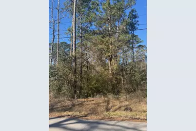 [Address not provided], Montgomery, TX 77356 - Photo 5