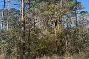 [Address not provided], Montgomery, TX 77356 - Photo 5