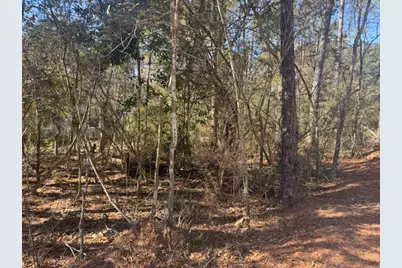 [Address not provided], Montgomery, TX 77356 - Photo 1