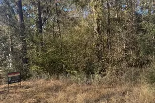 [Address not provided], Montgomery, TX 77356 - Photo 3