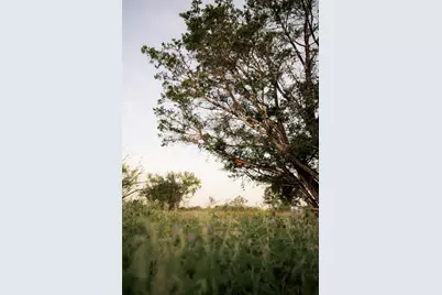 1790 County Road 402, Marble Falls, TX 78654 - Photo 7