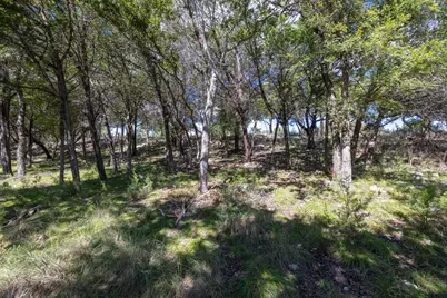 124 Sea Smoke Cove, Liberty Hill, TX 78642 - Photo 15
