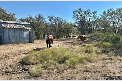 261 County Road 120, Marble Falls, TX 78654 - Photo 5