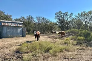 261 Co Rd 120, Marble Falls, TX 78654 - Photo 5
