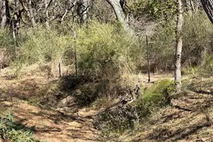 261 Co Rd 120, Marble Falls, TX 78654 - Photo 15