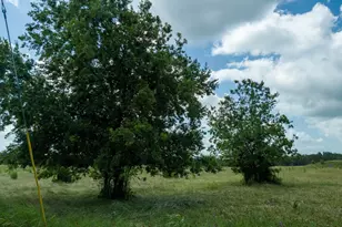 501 Myers Creek Rd, Dripping Springs, TX 78620 - Photo 25