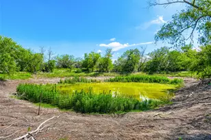 401 Graef Rd, Kyle, TX 78640 - Photo 5
