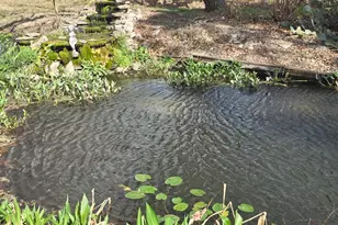 137 Hill Dr Dr, Granite Shoals, TX 78654 - Photo 39