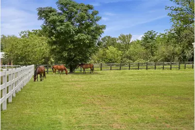 343 Colorado Drive, Cedar Creek, TX 78612 - Photo 29