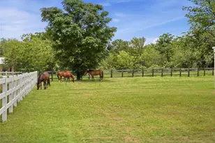 343 Colorado Dr, Cedar Creek, TX 78612 - Photo 29