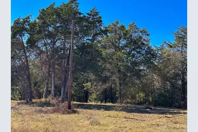 Lot 9D Foothill Road, Bastrop, TX 78602 - Photo 7