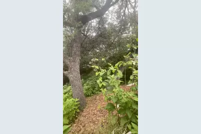 4908 Arrowhead Drive, Lago Vista, TX 78645 - Photo 5