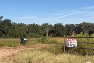 1226 Co Rd 316, Lexington, TX 78947 - Photo 19