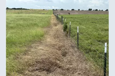 700 County Road 330 Road, Granger, TX 76530 - Photo 3