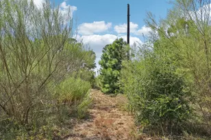 122 Rolling Pines Dr, Smithville, TX 78957 - Photo 35