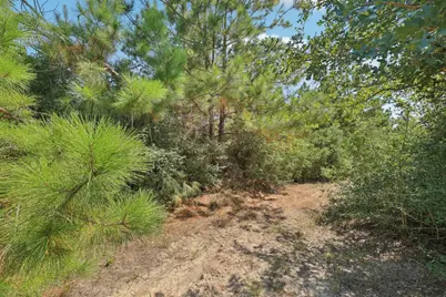 122 Rolling Pines Drive, Smithville, TX 78957 - Photo 31