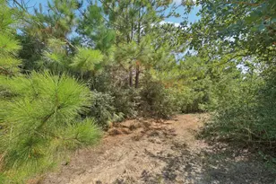 122 Rolling Pines Dr, Smithville, TX 78957 - Photo 31