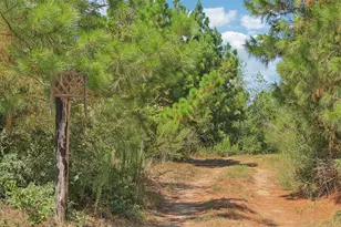 122 Rolling Pines Dr, Smithville, TX 78957 - Photo 33