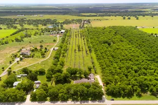 3717 Buck Ln, Garfield, TX 78617 - Photo 3