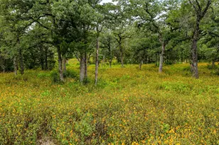 1908 Co Rd 305, Rockdale, TX 76567 - Photo 37