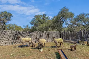 5421 Purgatory Rd, San Marcos, TX 78666 - Photo 19