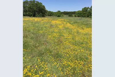 184 Moondance Trail, Wimberley, TX 78676 - Photo 1