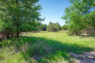 411 Avila Ln, Briggs, TX 78608 - Photo 31