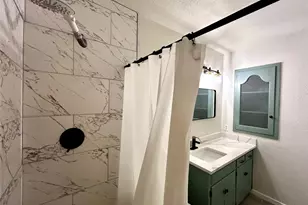 1005 W Martin Luther King Jr Blvd, Austin, TX 78701 - Photo 19