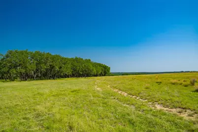 2801 - Tract 4 County Road 228, Florence, TX 76527 - Photo 11
